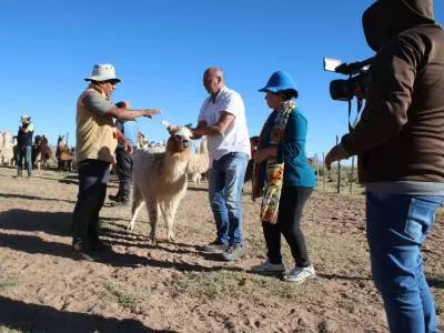 Agencias de viajes y turismo Mil Destinos