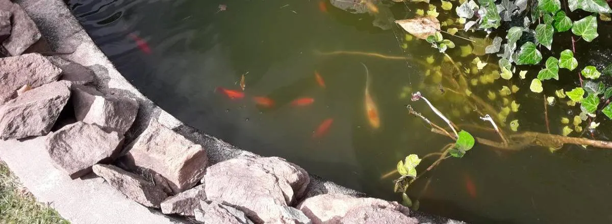 Cabañas 1 estrella La Strega