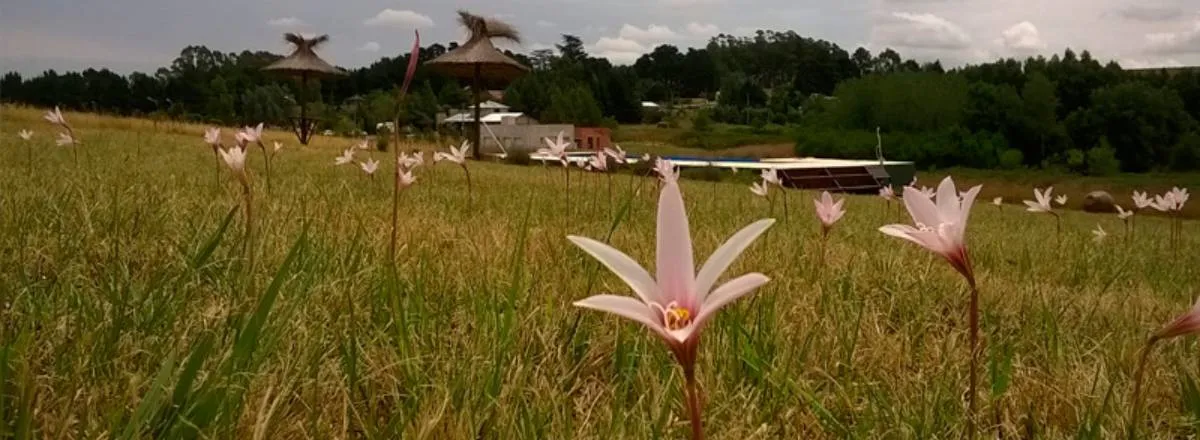 Cabañas 1 estrella La Peregrina