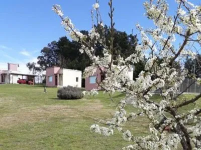 1-star Cabins Los Buhos