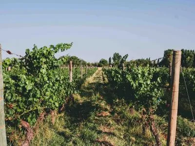 Cabins Viento Andino