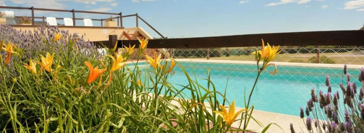 Cabins Los Llantenes