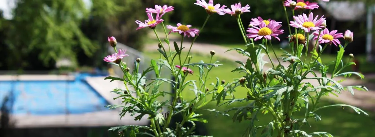 Cabañas Don Quijote de la Mancha