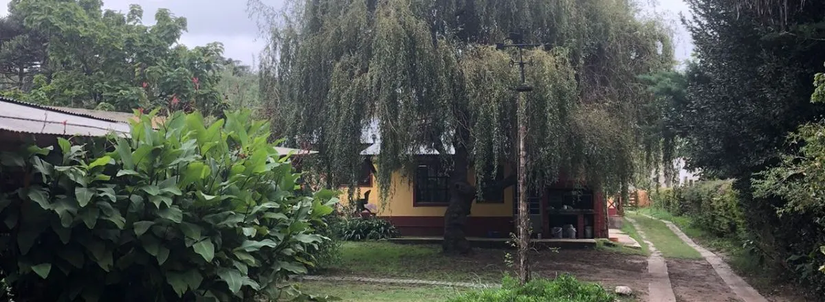 Hostelries Mis Nietos