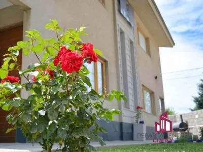 Alquileres de propiedades turísticas Departamentos Limay