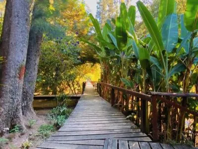 Cabins Complejo Victoria