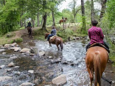 Abuelo Enrique Cabalgatas  en  San Martín de los Andes
