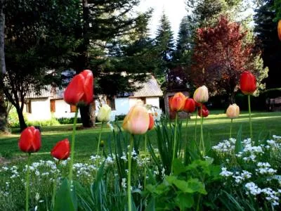 Cabañas 2 estrellas Cabañas Pichi Ruca