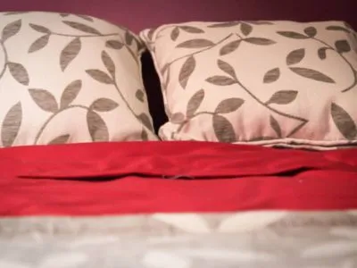 Cabañas Uvas de la Colonia