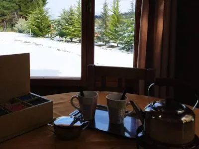 Cabañas Masía del Valle