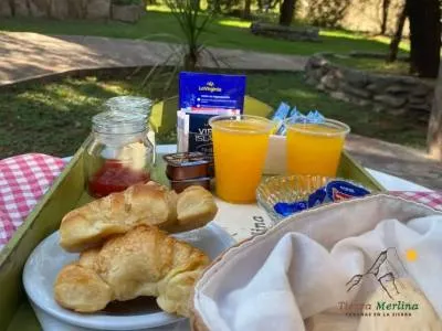 Apart Hoteles Tierra Merlina