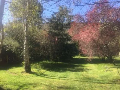 Cabañas Costa Mosqueta