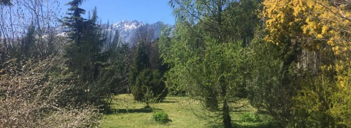 Cabañas Costa Mosqueta