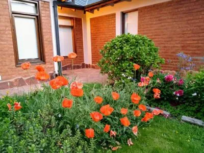 Cabins Gnomos Cabins