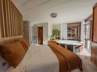 Apart Hotels Le Cuyen  Aparts & Cabins