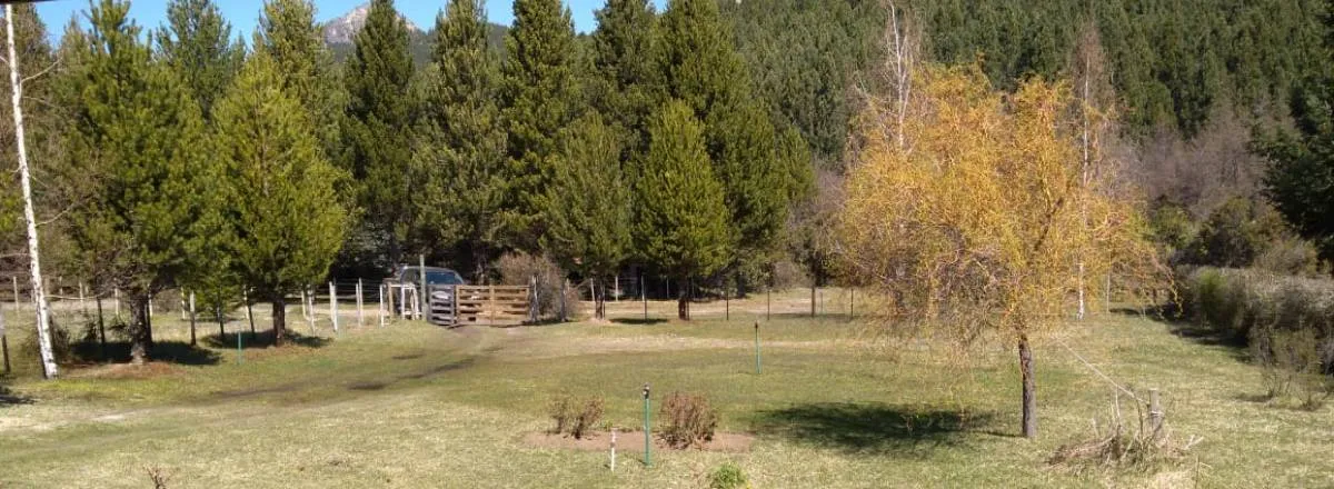 Accommodation in Lago Meliquina (30 Km. from San Martín de los Andes) Piwkenyeyu