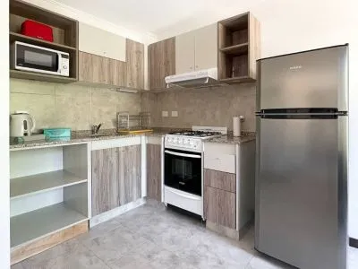 Departamentos Departamento Lacar