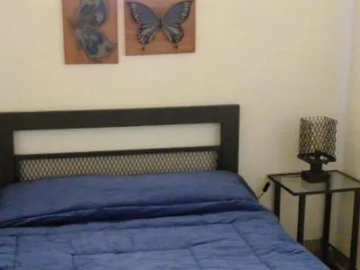 Departamentos Apartments renta Eva