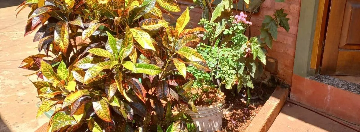 Departamentos El Rinconcito