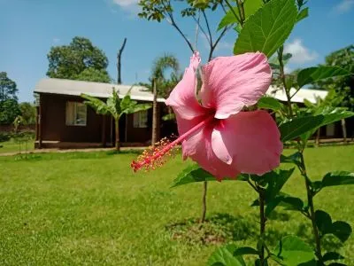 Cabins Cabañas Paraíso Iguazú