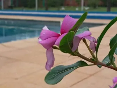 Cabañas Cabañas Mi Buen Refugio