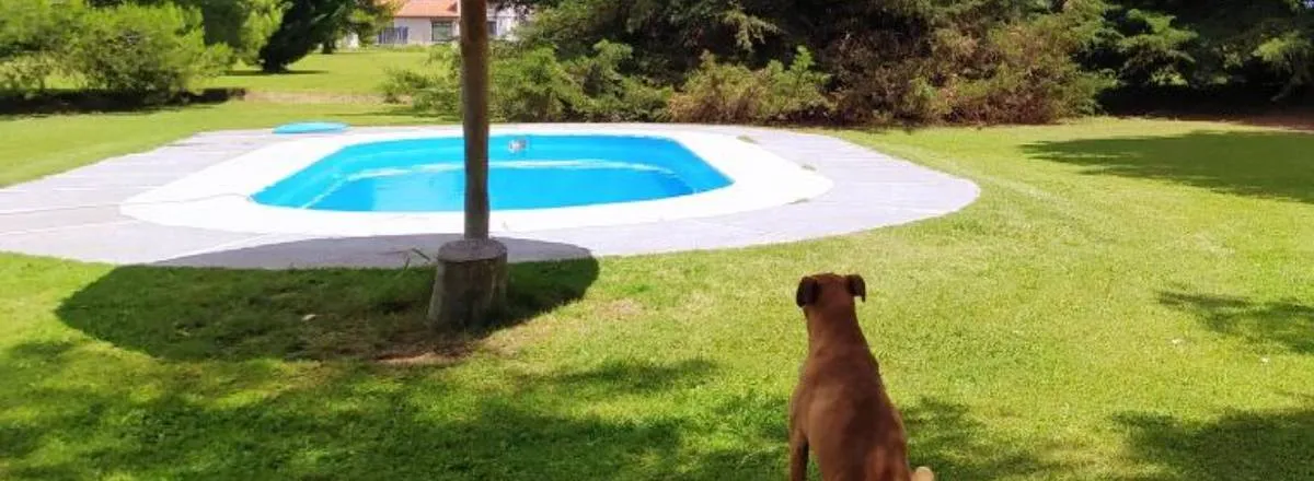 Cabañas 2 estrellas Refugio Andino