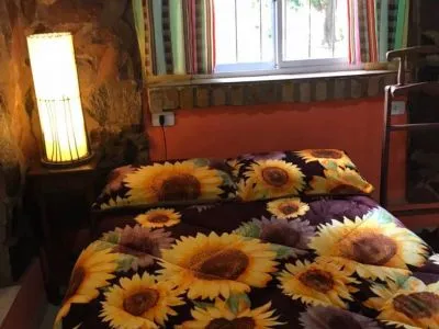 Cabañas Sinfonías de la Selva