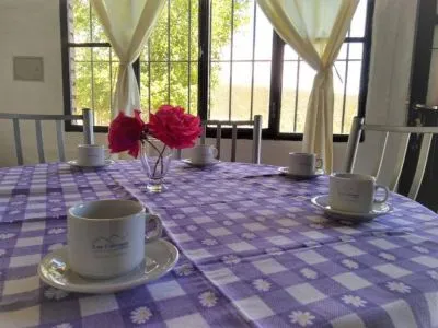 Cabañas Los Coirones