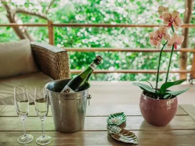 Lodges Botanica The House Experience