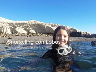 Madryn Buceo Operadores de Servicios Turísticos  en  Puerto Madryn