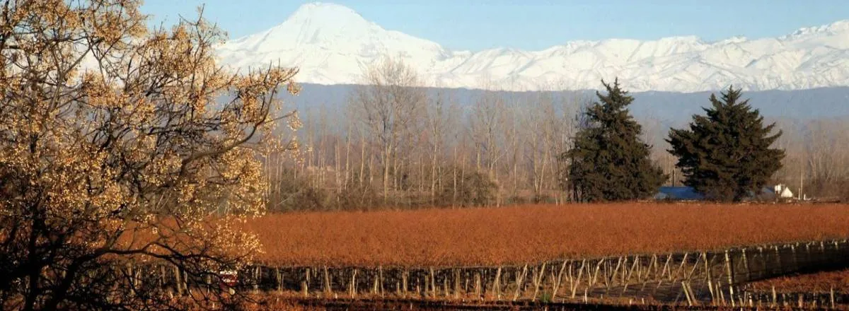 Departamentos Aires de Maipu