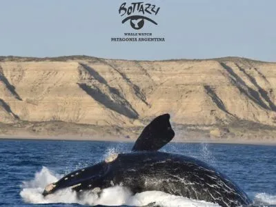 Bottazzi Tourist Services Operators  in  Puerto Madryn