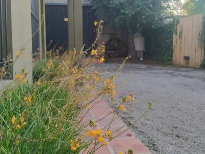 Alquiler temporario Dpto Ugalde en Tandil