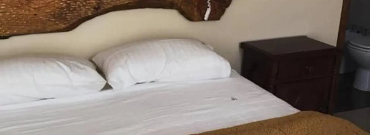 Apartments Viento de Acero