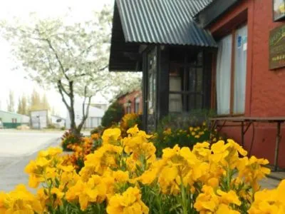 Hostal Schilling Albergues/Hostels  en  El Calafate