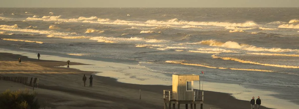 Departamentos Robert