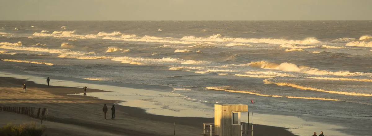 Apartments Tartaruga