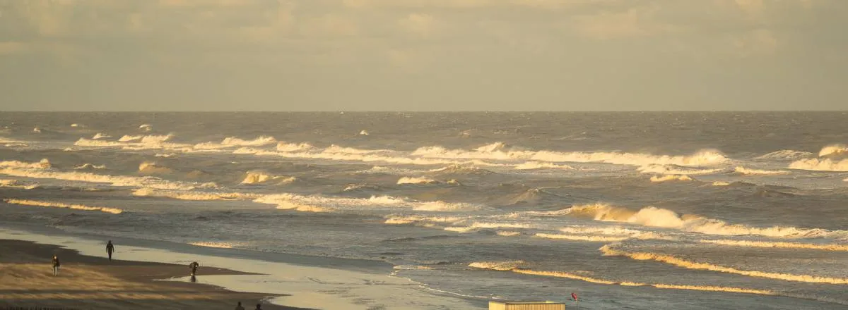 Temporary rent Apartamentos a la vuelta del mar