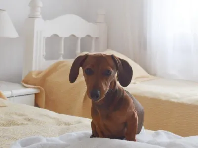 Apart Hotels Las Arenas Pinamar