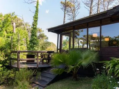 Apart Hoteles Blume Apart