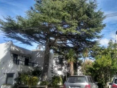 Duplex Langostinos Departamentos  en  Pinamar