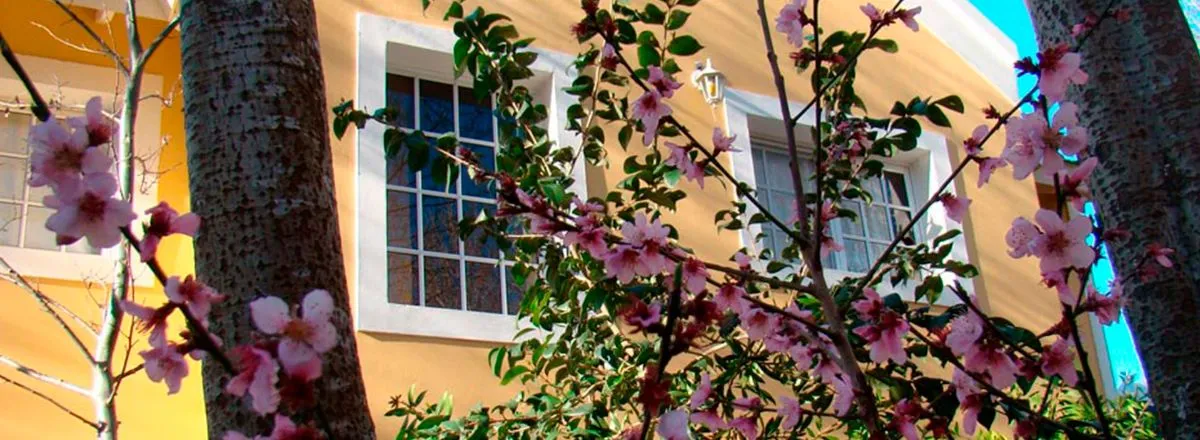 Departamentos Aoniken Casa de Playa