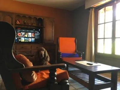 Temporary rent Casal del Mar