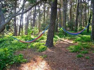 Alquiler de casas y departamentos Casa Factoría 