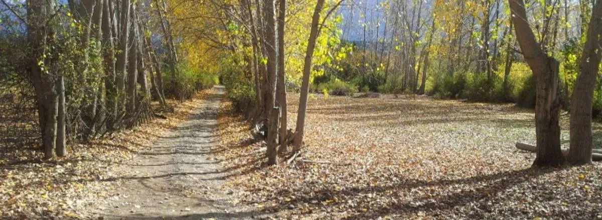 Cabins Abuelo Quique