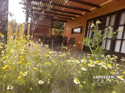 Cabañas Lupulito Lodge