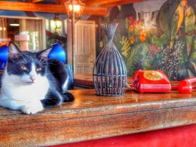 Hostels Cataratas Jazz Hostel