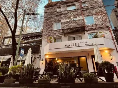 Maitre Hotel Boutique Boutique Hotels  in  Buenos Aires