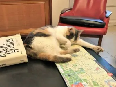 Albergues/Hostels Reina Madre