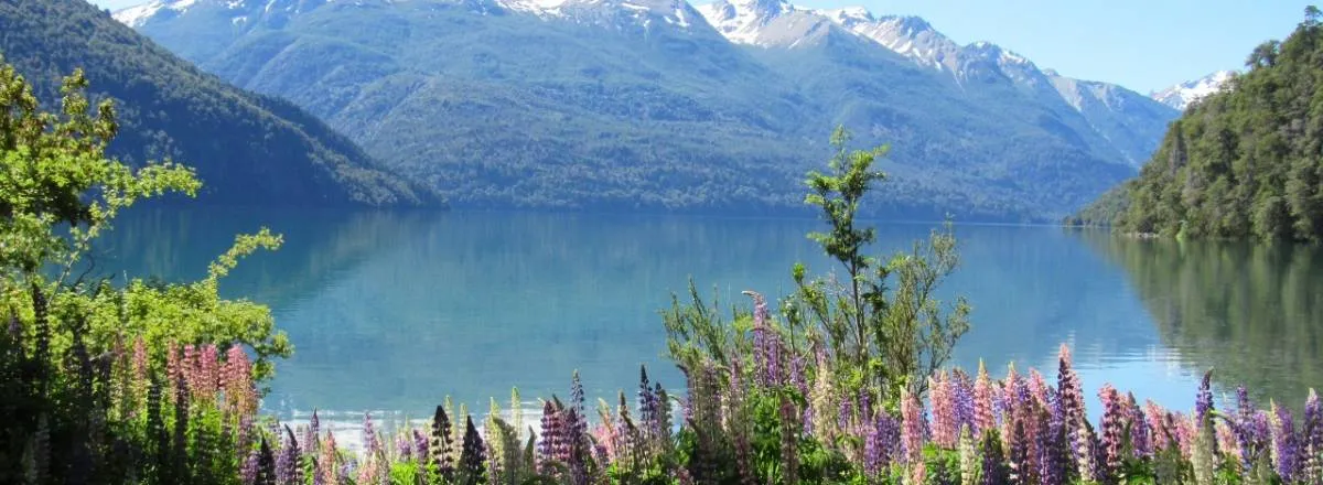 Domos & Glamping Lago Rivadavia